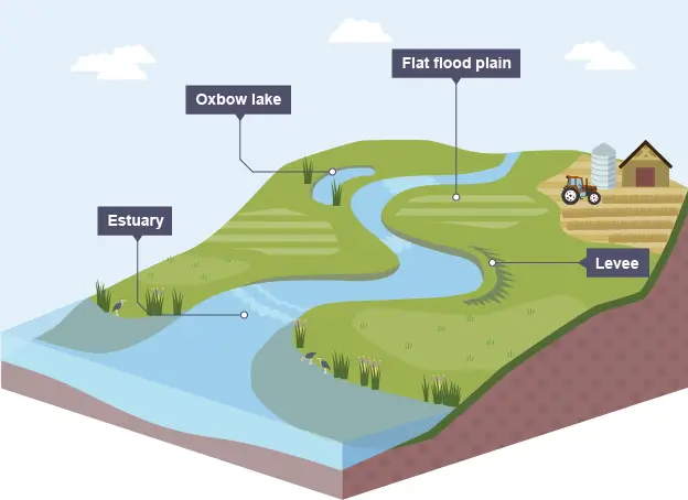 The three stages of river - stage 3 lower course